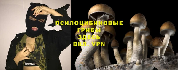амф Белоозёрский