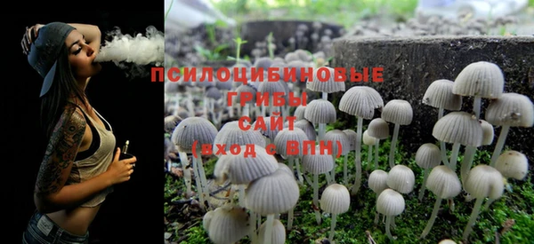 PSILOCYBIN Белокуриха