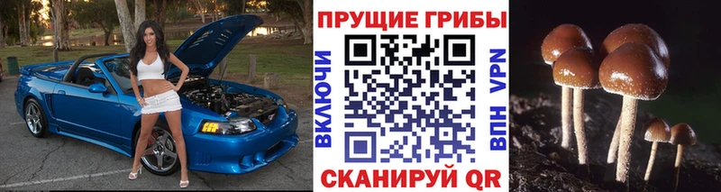 Галлюциногенные грибы мухоморы  Южа 
